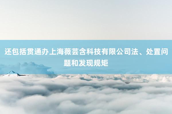 还包括贯通办上海薇芸含科技有限公司法、处置问题和发现规矩