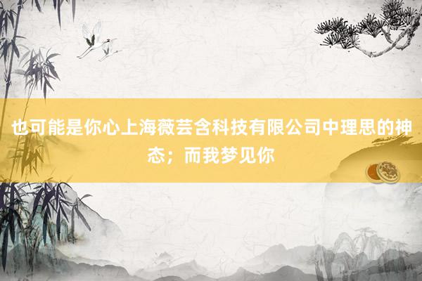 也可能是你心上海薇芸含科技有限公司中理思的神态；而我梦见你