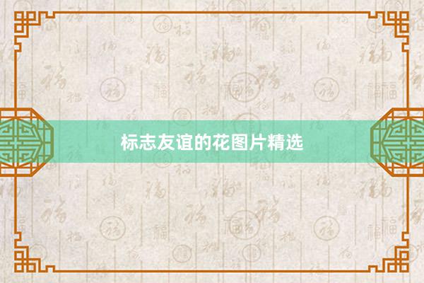 标志友谊的花图片精选