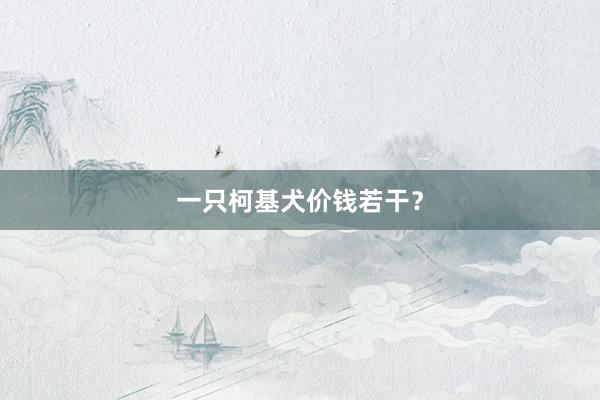 一只柯基犬价钱若干？