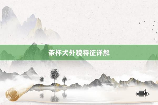茶杯犬外貌特征详解